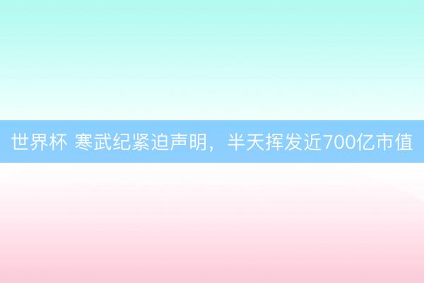 世界杯 寒武纪紧迫声明，半天挥发近700亿市值
