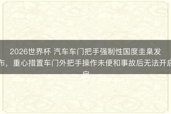 2026世界杯 汽车车门把手强制性国度圭臬发布，重心措置车门外把手操作未便和事故后无法开启