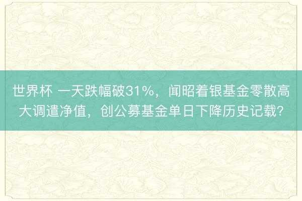 世界杯 一天跌幅破31%，闻昭着银基金零散高大调遣净值，创公募基金单日下降历史记载？