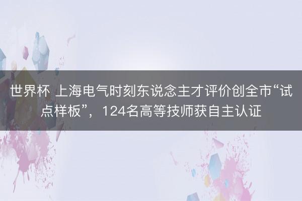 世界杯 上海电气时刻东说念主才评价创全市“试点样板”，124名高等技师获自主认证