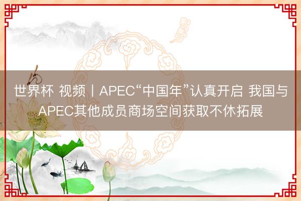 世界杯 视频丨APEC“中国年”认真开启 我国与APEC其他成员商场空间获取不休拓展