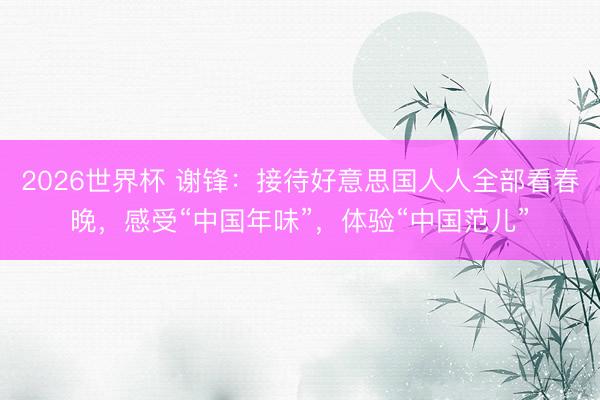 2026世界杯 谢锋：接待好意思国人人全部看春晚，感受“中国年味”，体验“中国范儿”
