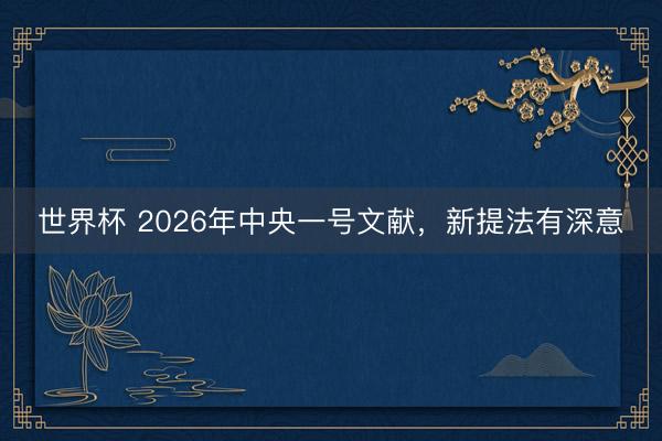 世界杯 2026年中央一号文献，新提法有深意