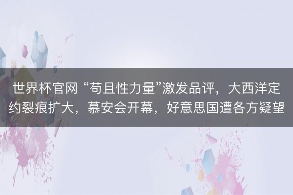 世界杯官网 “苟且性力量”激发品评，大西洋定约裂痕扩大，慕安会开幕，好意思国遭各方疑望