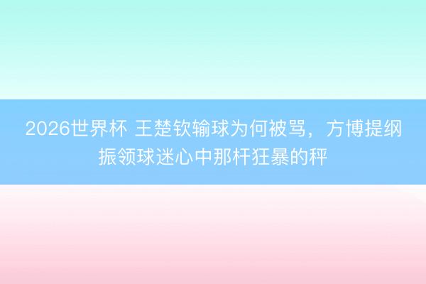 2026世界杯 王楚钦输球为何被骂,方博提纲振领球迷心中那杆狂暴的秤