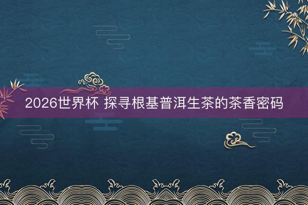 2026世界杯 探寻根基普洱生茶的茶香密码