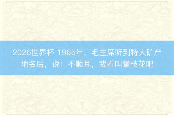 2026世界杯 1965年，毛主席听到特大矿产地名后，说：不顺耳，我看叫攀枝花吧