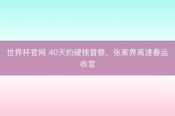 世界杯官网 40天的硬核督察，张家界高速春运收官