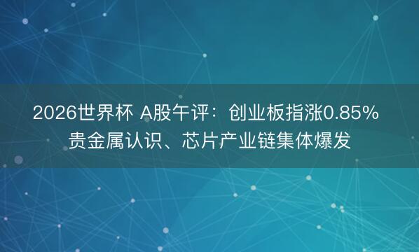 2026世界杯 A股午评：创业板指涨0.85% 贵金属认识、芯片产业链集体爆发