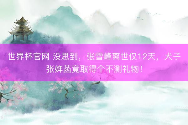 世界杯官网 没思到,张雪峰离世仅12天,犬子张姩菡竟取得个不测礼物!