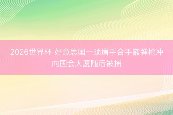 2026世界杯 好意思国一须眉手合手霰弹枪冲向国会大厦随后被捕