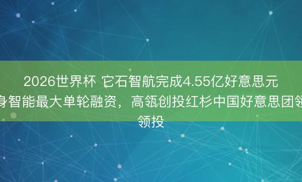 2026世界杯 它石智航完成4.55亿好意思元具身智能最大单轮融资，高瓴创投红杉中国好意思团领投