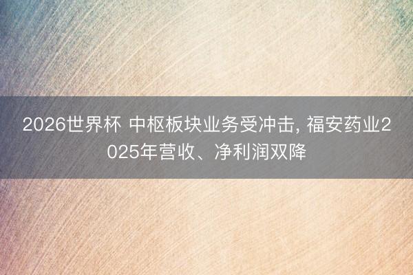 2026世界杯 中枢板块业务受冲击， 福安药业2025年营收、净利润双降