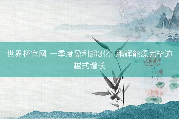 世界杯官网 一季度盈利超3亿! 鹏辉能源完毕逾越式增长