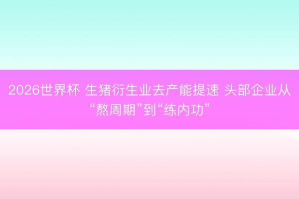 2026世界杯 生猪衍生业去产能提速 头部企业从“熬周期”到“练内功”