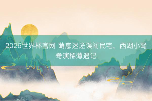 2026世界杯官网 萌崽迷途误闯民宅，西湖小鸳鸯演稀薄遇记