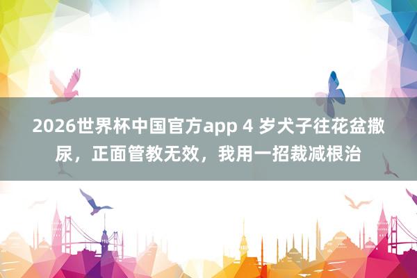2026世界杯中国官方app 4 岁犬子往花盆撒尿，正面管教无效，我用一招裁减根治