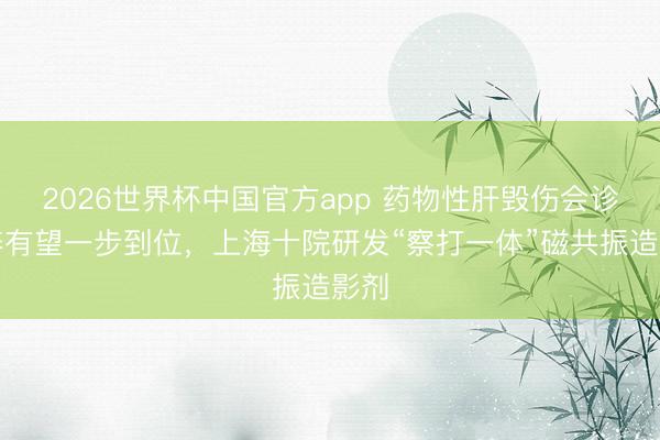 2026世界杯中国官方app 药物性肝毁伤会诊调养有望一步到位，上海十院研发“察打一体”磁共振造影剂