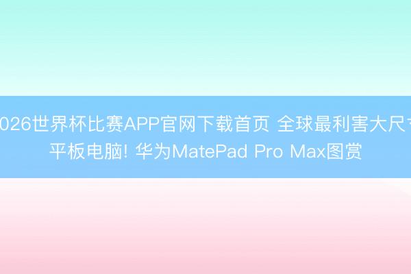 2026世界杯比赛APP官网下载首页 全球最利害大尺寸平板电脑! 华为MatePad Pro Max图赏
