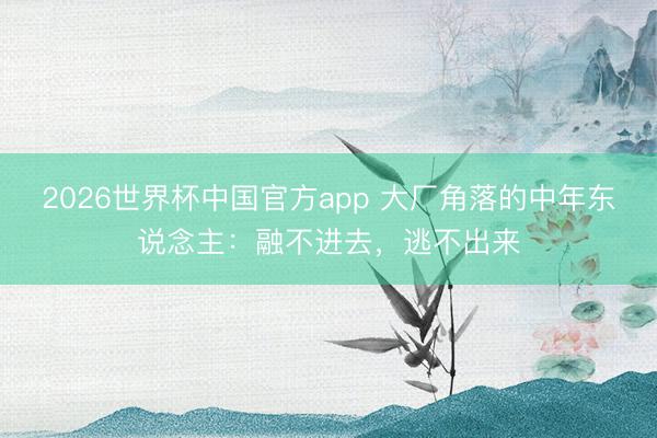 2026世界杯中国官方app 大厂角落的中年东说念主:融不进去,逃不出来