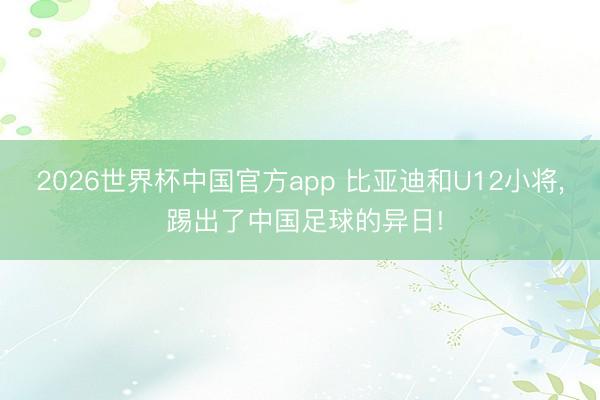 2026世界杯中国官方app 比亚迪和U12小将， 踢出了中国足球的异日!