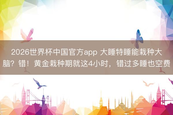 2026世界杯中国官方app 大睡特睡能栽种大脑？错！黄金栽种期就这4小时，错过多睡也空费