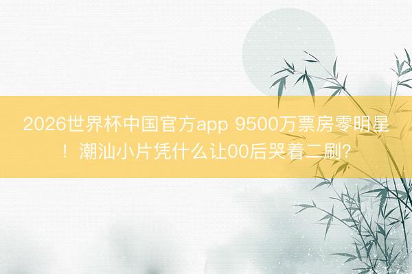 2026世界杯中国官方app 9500万票房零明星！潮汕小片凭什么让00后哭着二刷？