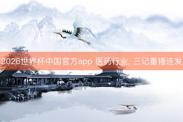 2026世界杯中国官方app 医药行业， 三记重锤连发